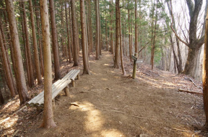 和田の分岐