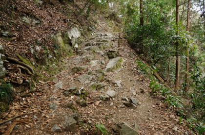 岩の登り道