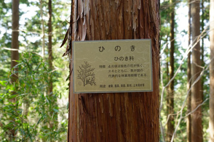 木の種類の看板