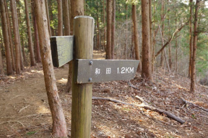 和田の道の分岐