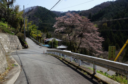 奈良子峠からの道