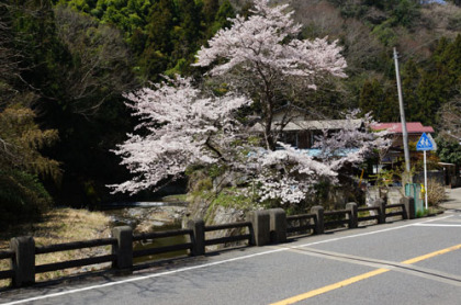 沢井川