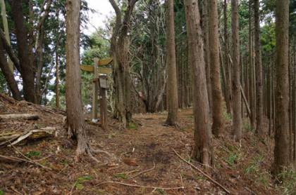 奈良子峠