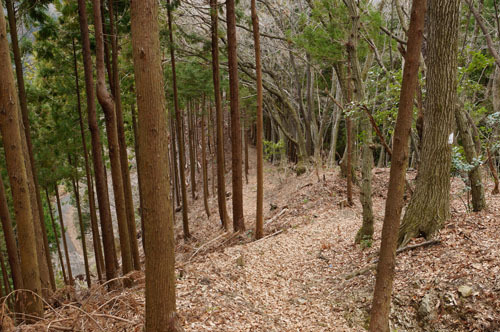 ０３月（初春）の奈良子尾根