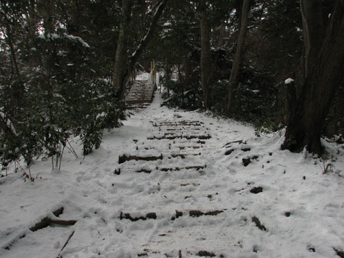 雪のいろはの森の道