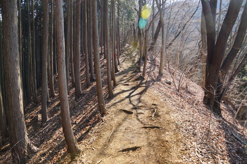 ０３月の陣馬山